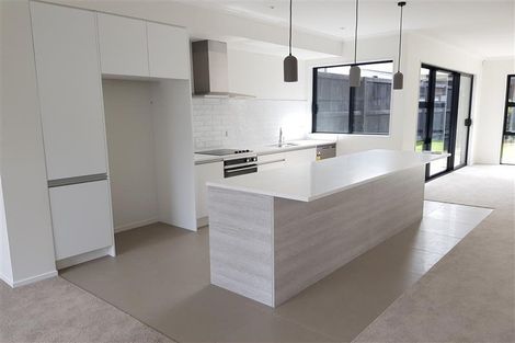 Photo of property in 3 Oioi Road, Hobsonville, Auckland, 0616