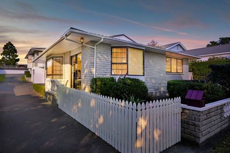 Photo of property in 1/5 Selwyn Street, Lower Vogeltown, New Plymouth, 4310