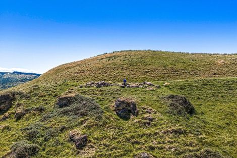 Photo of property in 16 Linden Close, Eskdale, Napier, 4182