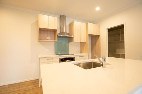 Photo of property in 70a Clarkin Road, Fairfield, Hamilton, 3214