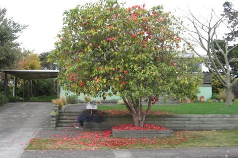 Photo of property in 58a Wylie Street, Glenholme, Rotorua, 3010