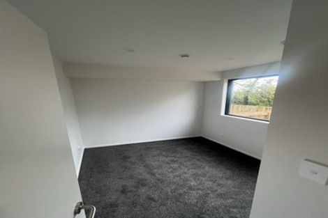 Photo of property in 14 Te Puketoka Lane, Mangere, 2022