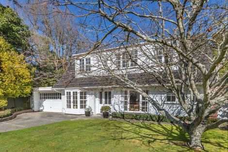 Photo of property in 58 Macarthur Street, Levin, 5510