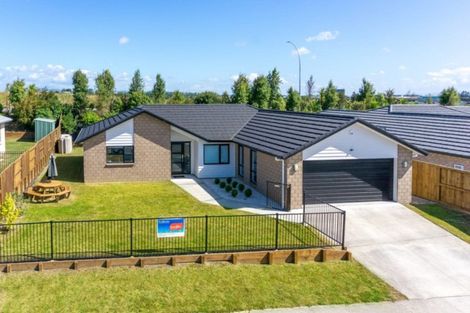 Photo of property in 20 Patatee Terrace, Baverstock, Hamilton, 3200