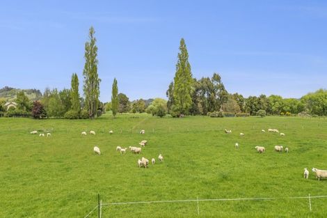 Photo of property in 19 Whiting Drive, Wakefield, 7025