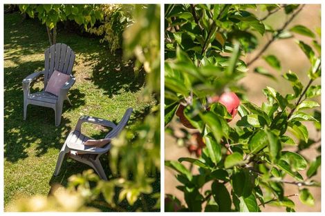 Photo of property in 100 Mill Street, Thames, 3500