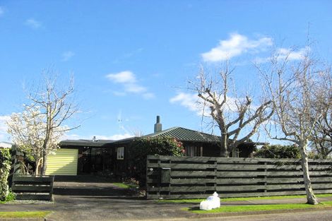 Photo of property in 2 Halsey Street, Levin, 5510