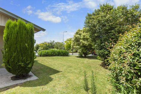 Photo of property in 19 Pelorus Street, Glenview, Hamilton, 3206