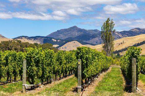 Photo of property in 126 Turnbull Drive, Witherlea, Blenheim, 7201