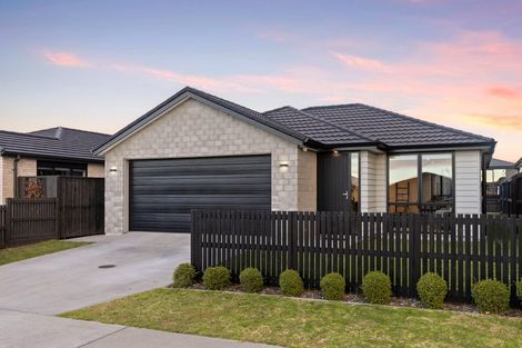 Photo of property in 21 Kuihi Street, Poike, Tauranga, 3112