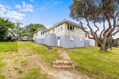 Photo of property in 25 Hutchinson Avenue, New Lynn, Auckland, 0600