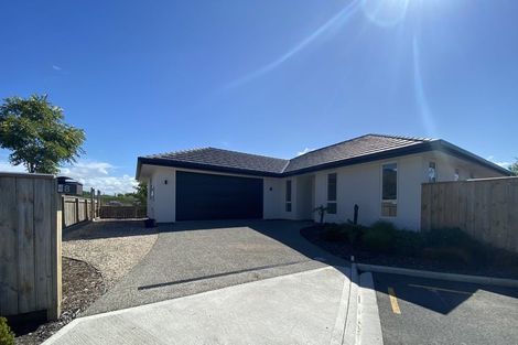 Photo of property in 8 Mellifera Place, Richmond, 7020