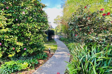 Photo of property in 38d Greers Road, Burnside, Christchurch, 8041