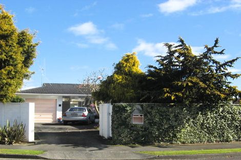 Photo of property in 4 Halsey Street, Levin, 5510