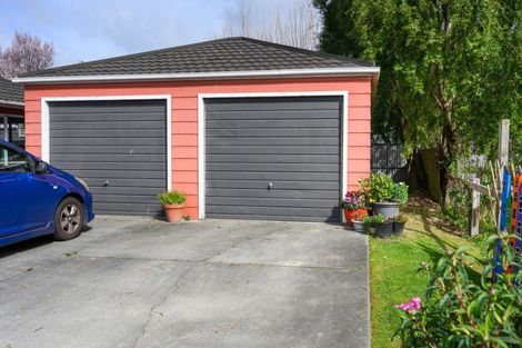 Photo of property in 48 Botanical Road, Takaro, Palmerston North, 4412