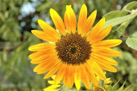 Photo of property in 107 Percival Street, Rangiora, 7400