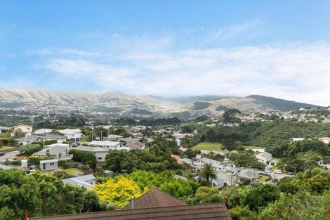 Photo of property in 28 Jane Grove, Paparangi, Wellington, 6037