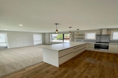 Photo of property in 75 Tauhinu Avenue, Lincoln, 7608