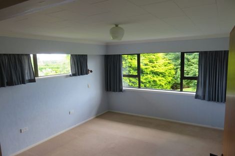 Photo of property in 45 Gladstone Road, Levin, 5571