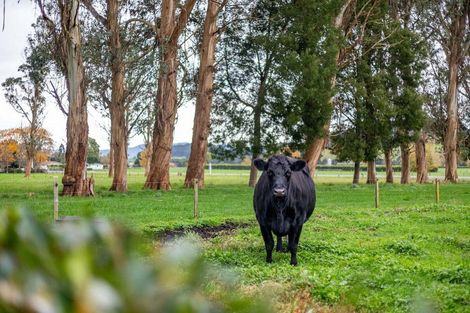 Photo of property in 831 Whitikahu Road, Whitikahu, Taupiri, 3792