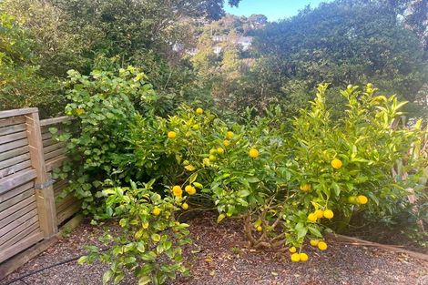 Photo of property in 12 Rodney Street, Northland, Wellington, 6012