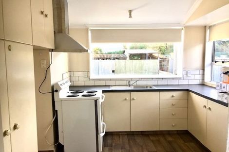 Photo of property in 40 Parlane Street, Addington, Christchurch, 8024