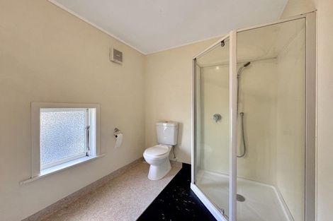 Photo of property in 17 Hankey Street, Mount Cook, Wellington, 6011