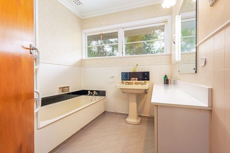 Photo of property in 41 Saint Albans Avenue, Hokowhitu, Palmerston North, 4410