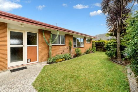 Photo of property in 137 Bellevue Road, Brookfield, Tauranga, 3110
