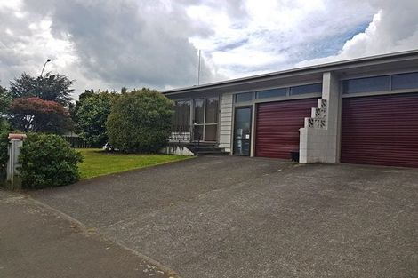 Photo of property in 303 Ruahine Street, Terrace End, Palmerston North, 4410