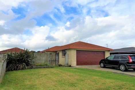 Photo of property in 17 Marblewood Grove, Pukekohe, 2120