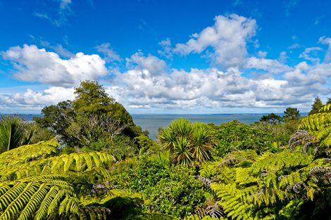 Photo of property in 146 Cliff View Drive, Green Bay, Auckland, 0604