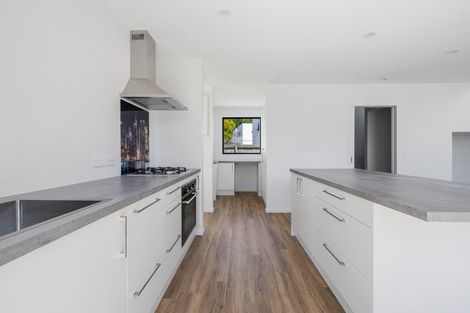 Photo of property in 46a Nursery Road, Phillipstown, Christchurch, 8011