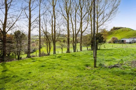 Photo of property in 356 Waihapa Road, Pukengahu, Stratford, 4393