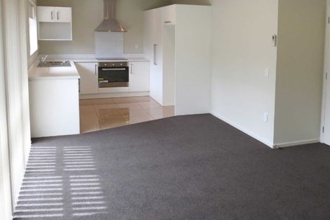 Photo of property in 11a Percy Street, Phillipstown, Christchurch, 8011