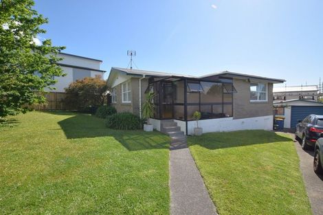 Photo of property in 11 Silver Birch Rise, Henderson, Auckland, 0612