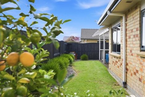 Photo of property in 29 Fahey Avenue, Mount Maunganui, 3116