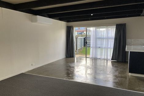 Photo of property in 119a Tiro Tiro Road, Levin, 5510
