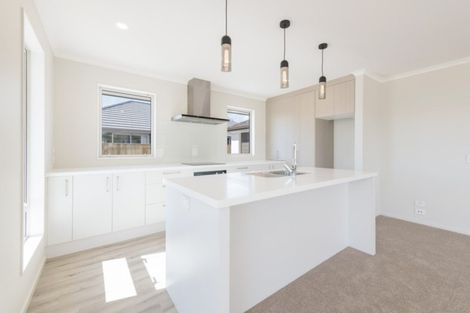 Photo of property in 3 Mellifera Place, Richmond, 7020