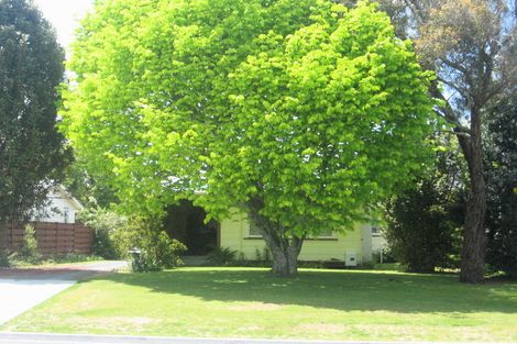 Photo of property in 39 Robinson Street, Cambridge, 3434