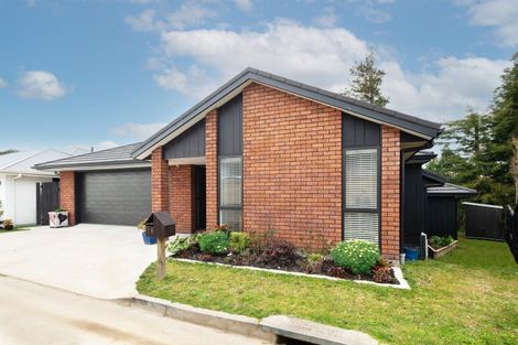 Photo of property in 19 Lily Way, Pyes Pa, Tauranga, 3112