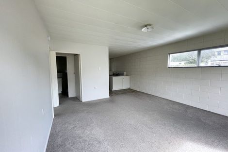 Photo of property in 8 Anzac Parade, Hamilton Central, Hamilton, 3204