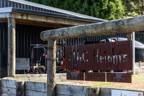 Photo of property in 1031b State Highway 2, Tanners Point, Katikati, 3177