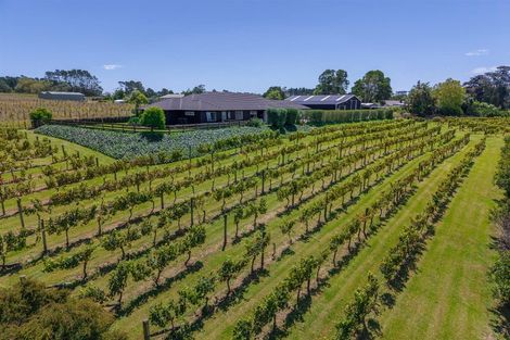 Photo of property in 583 State Highway 16, Kumeu, 0891