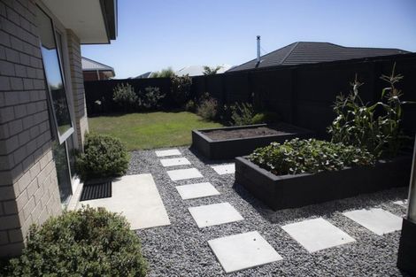 Photo of property in 24 Temple Avenue, Lincoln, 7608