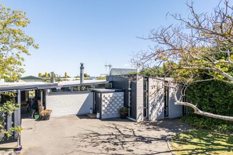 Photo of property in 1006 Rata Street, Mahora, Hastings, 4120