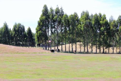 Photo of property in 1085a Hillside-manapouri Road, Manapouri, Te Anau, 9679
