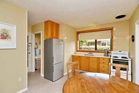 Photo of property in 3/17 Bond Street, Waltham, Christchurch, 8023