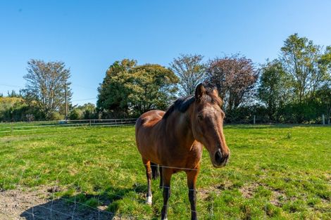 Photo of property in 14 Arowhenua Station Road, Kerrytown, Timaru, 7973