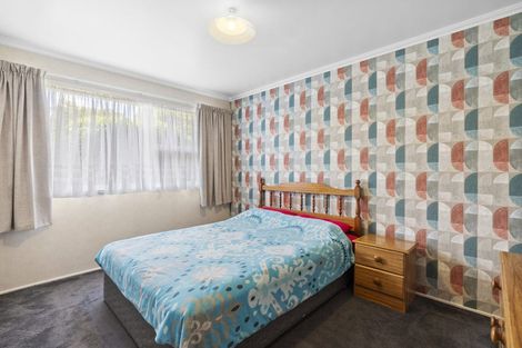 Photo of property in 19 Pelorus Street, Glenview, Hamilton, 3206